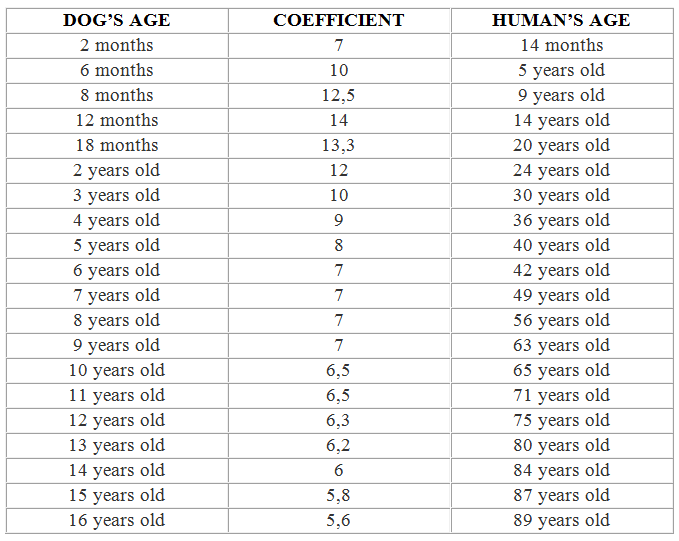 how old in dog years is 4