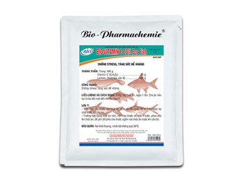 BIO-VITAMIN C 10% FOR FISH