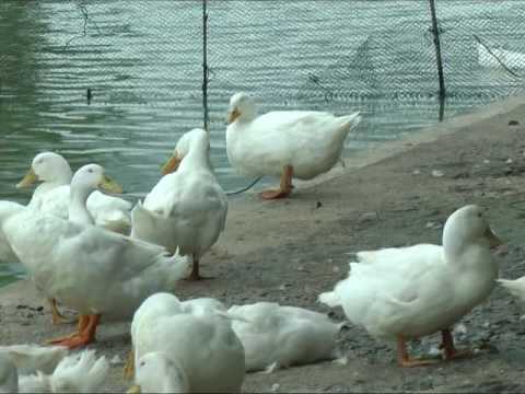 BIO - TRÊN ĐƯỜNG PHÁT TRIỂN 19 9 2016